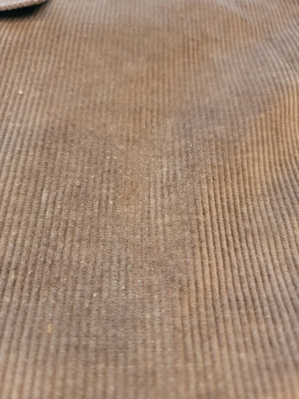 Stafford Essentials Two Button Dark Brown Corduroy Sport Coat Blazer Classic Fit